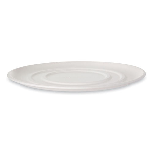 WorldView Sugarcane Pizza Trays, 16 x 16 x 02, White, 50/Carton