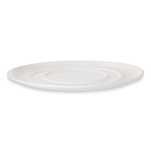 WorldView Sugarcane Pizza Trays, 14 x 14 x 0.2, White, 50/Carton