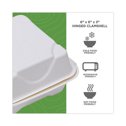 Bagasse Hinged Clamshell Containers, 6 x 6 x 3, White, Sugarcane, 50/Pack, 10 Packs/Carton