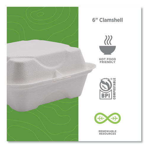 Vanguard Renewable and Compostable Sugarcane Clamshells, 6 x 6 x 3, White, 500/Carton