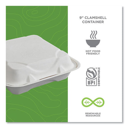 Vanguard Renewable and Compostable Sugarcane Clamshells, 1-Compartment, 9 x 9 x 3, White, 200/Carton